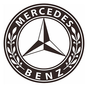ДВС Mercedes Benz